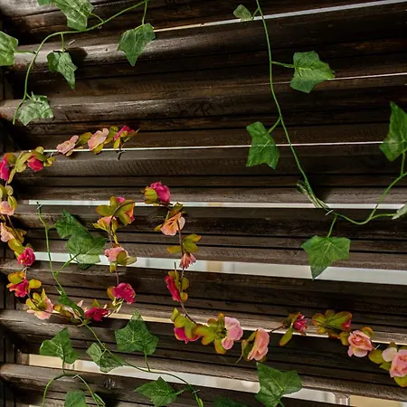 公寓式酒店 Pasham 4*